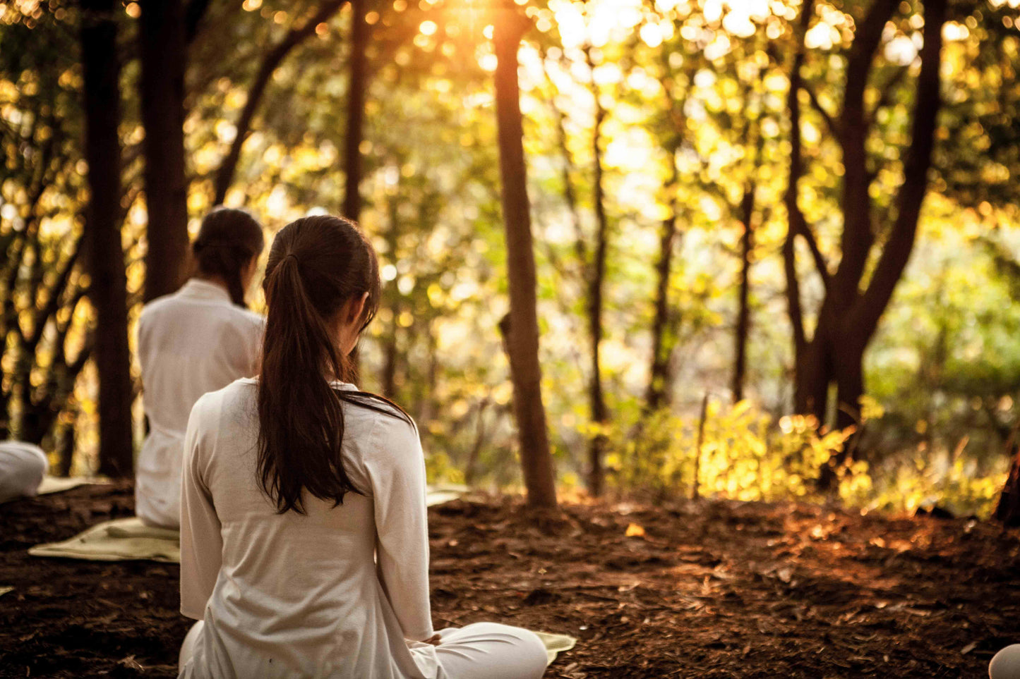 Mindfulness Matters