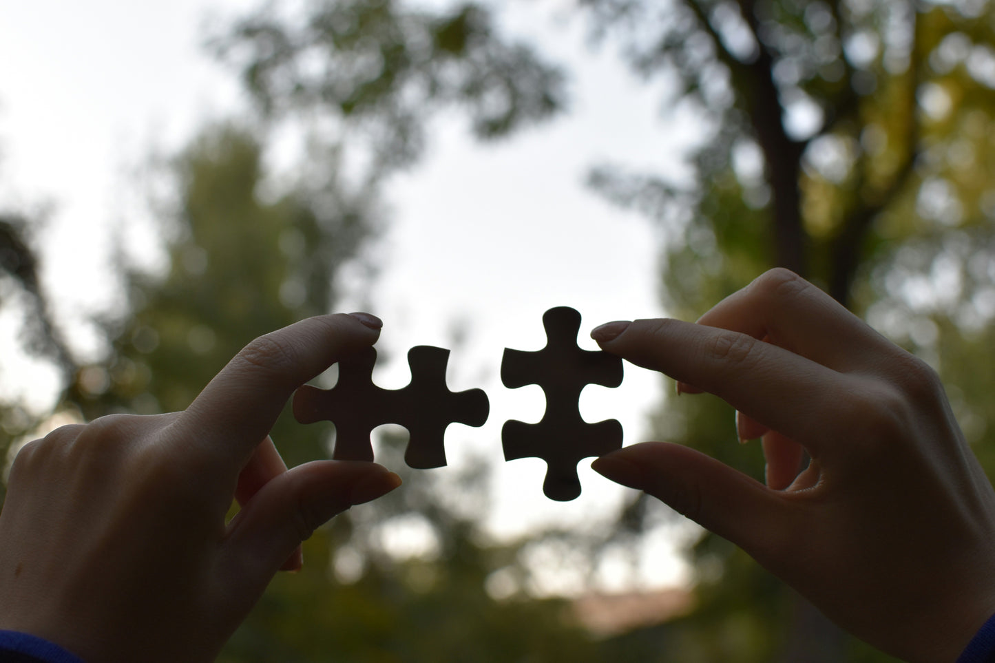Strategic Synergy: Building and Sustaining High-Impact Partnerships